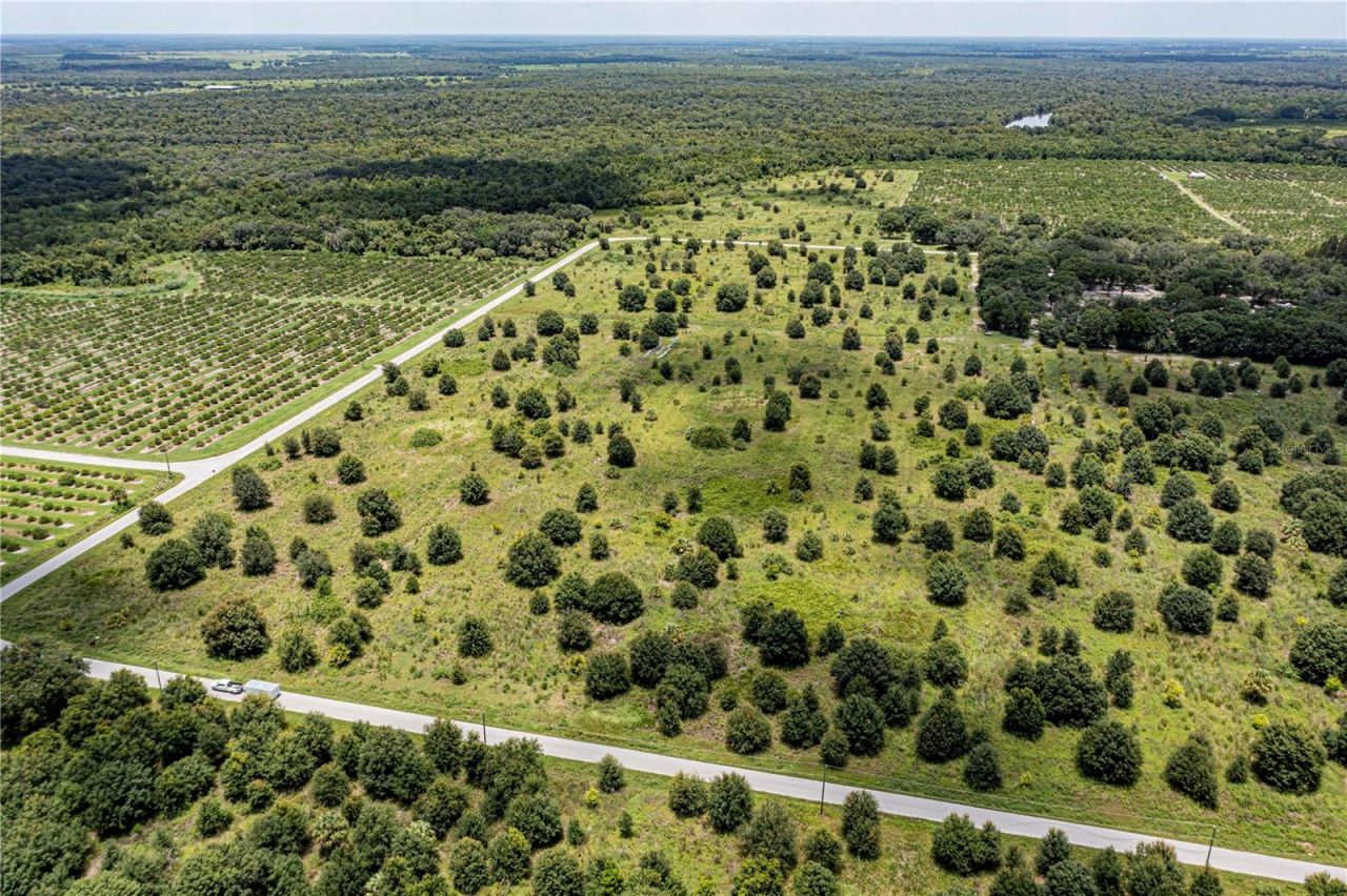 Sw Hull Avenue, Arcadia, FL 34269 Photo