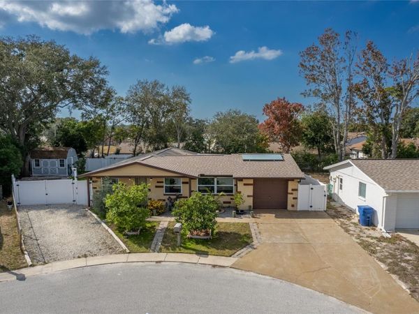 2527 OHIO PLACE, HOLIDAY, FL 34691