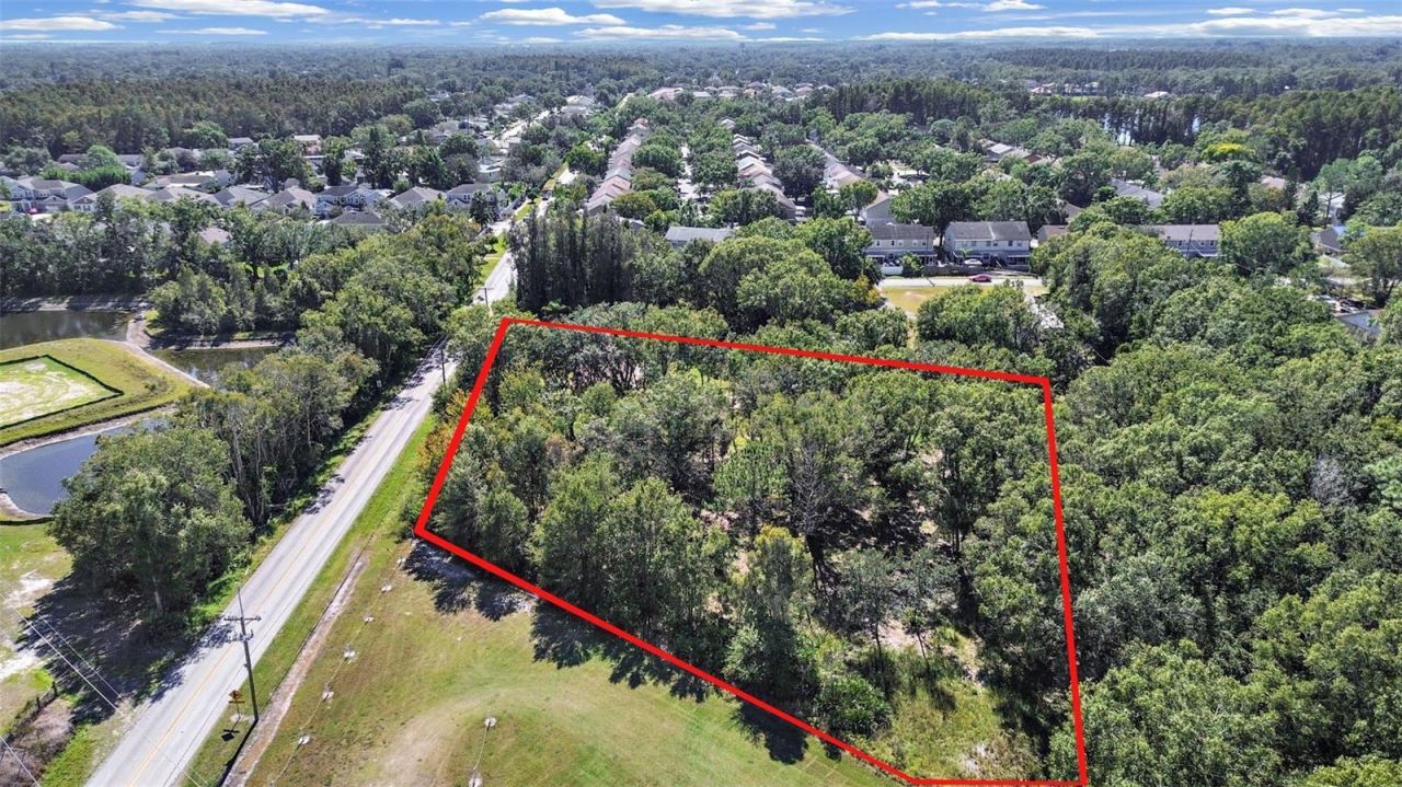 16906 Lakeshore Road, Lutz, FL 33558 Main Photo