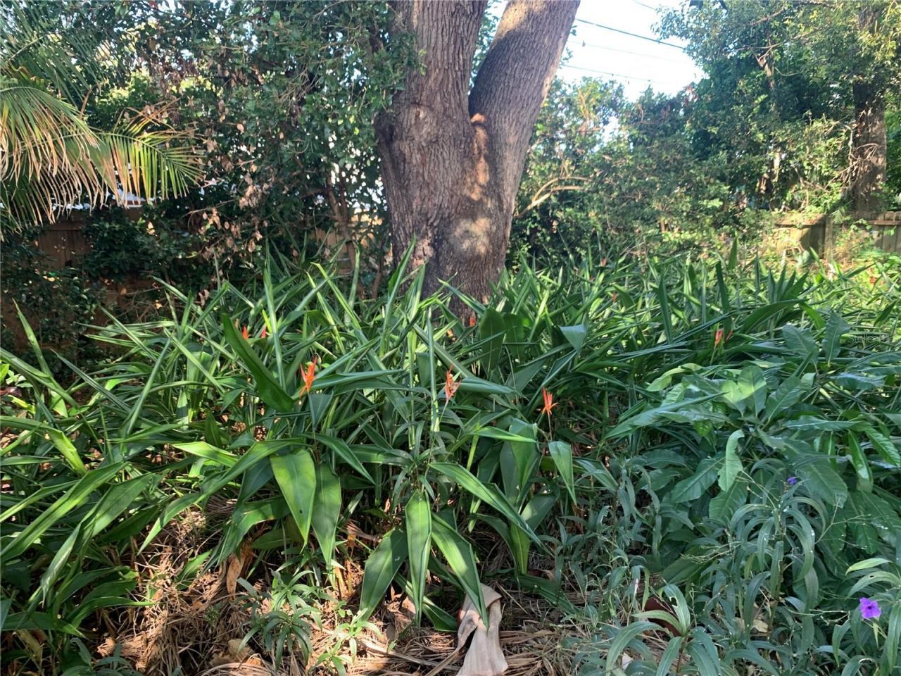 5435 18th Avenue N, Saint Petersburg, FL 33710 Photo