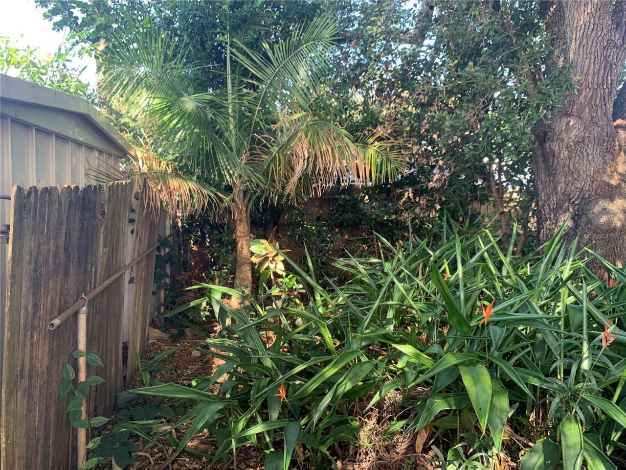 5435 18th Avenue N, Saint Petersburg, FL 33710 Photo