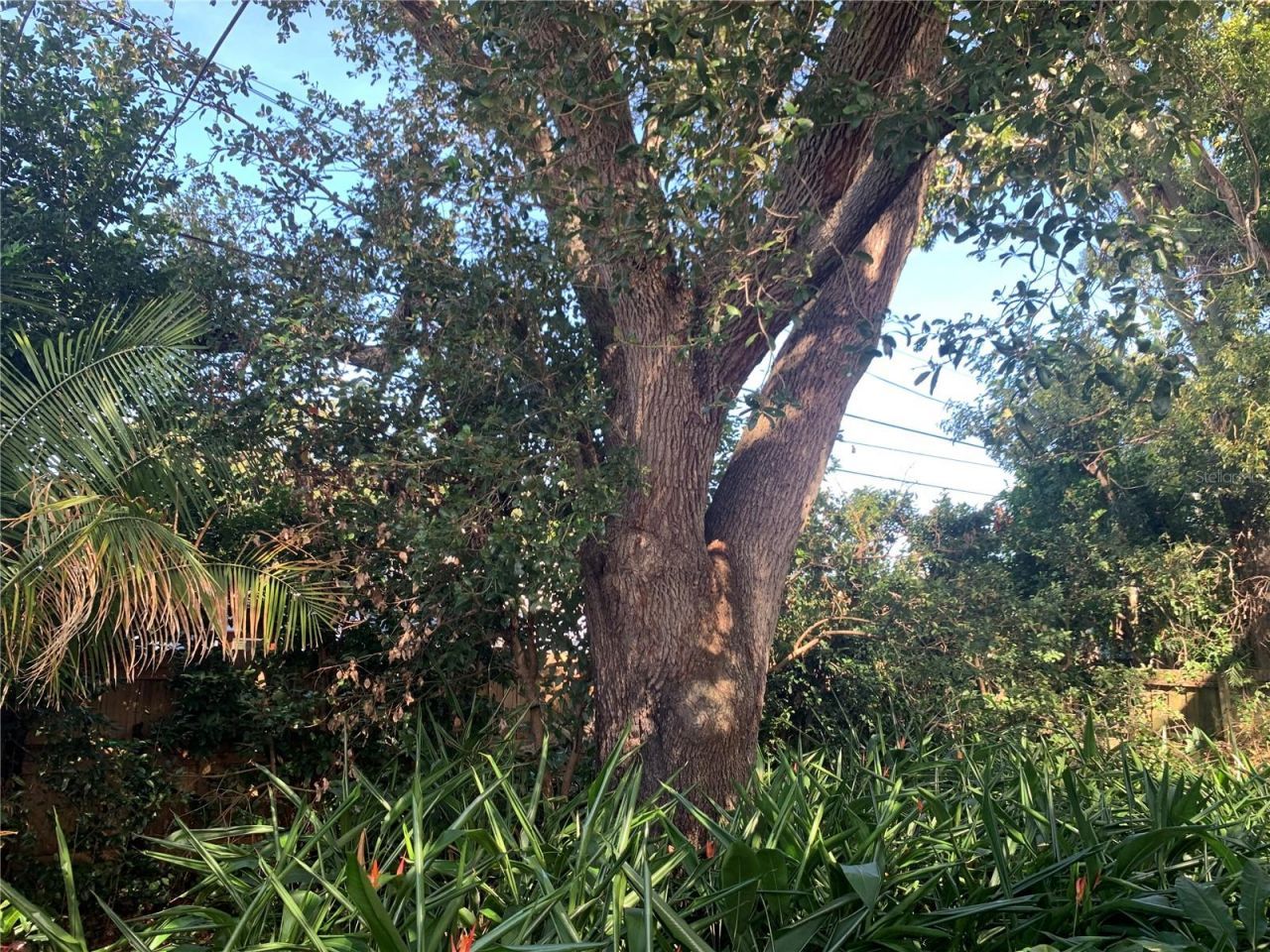 5435 18th Avenue N, Saint Petersburg, FL 33710 Photo