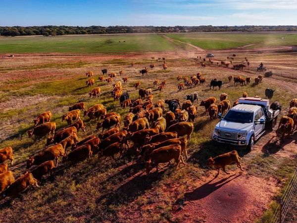 180000 N 2600 Road, Walters, OK 73572