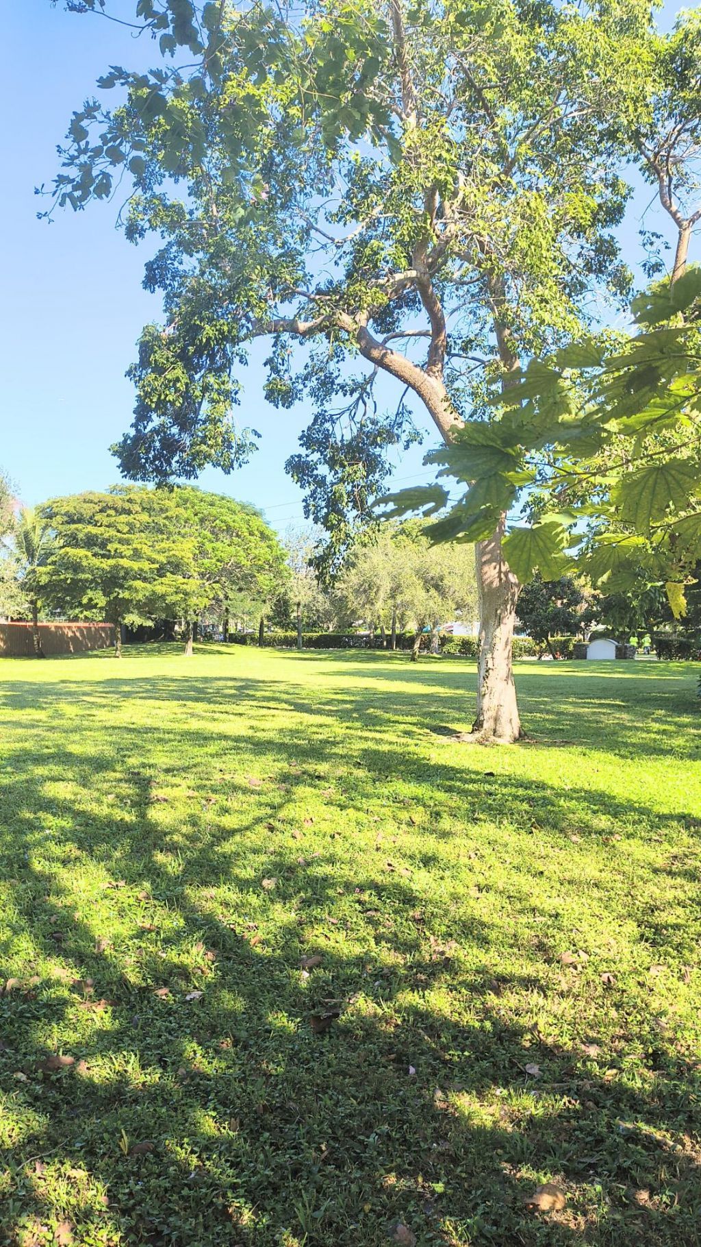 1236 Block Island Road, Wellington, FL 33414 Photo