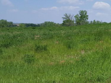 3351 MERIWETHER LEWIS Lane, MISSOURI VALLEY, IA 51555