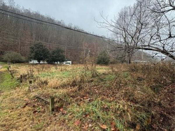 147 Wiseman Lane, Danville, WV 25053