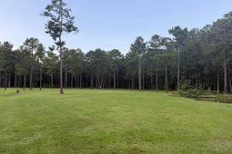 00 Myers Mayo Road photo 4