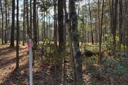 00 Myers Mayo Road photo 4