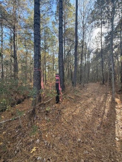 00 Myers Mayo Road Photo 6