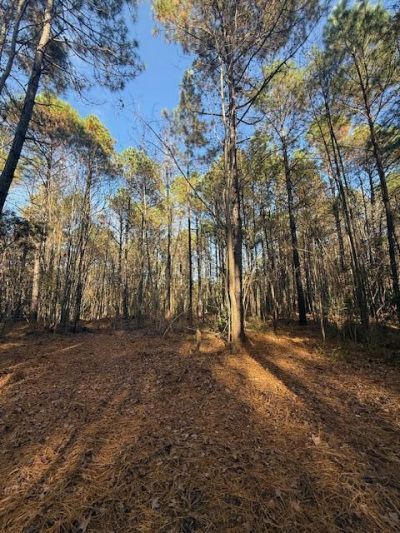 00 Myers Mayo Road Photo 7