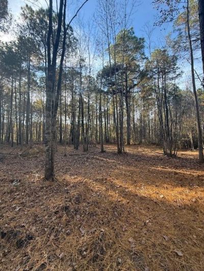 00 Myers Mayo Road Photo 8