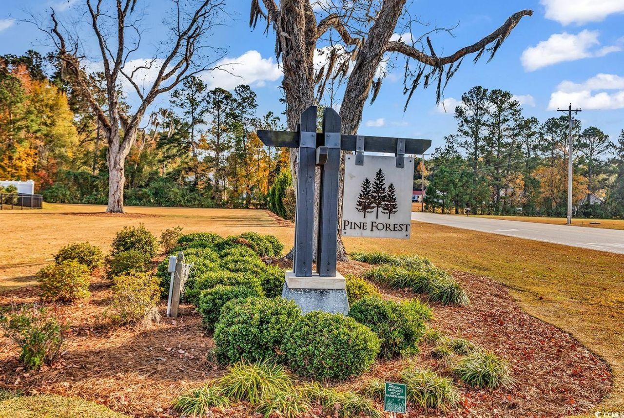 170 Pine Forest Dr. Photo 35