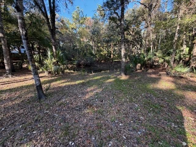 6455 E Sioux Canal Drive, Hernando, FL 34442 Photo
