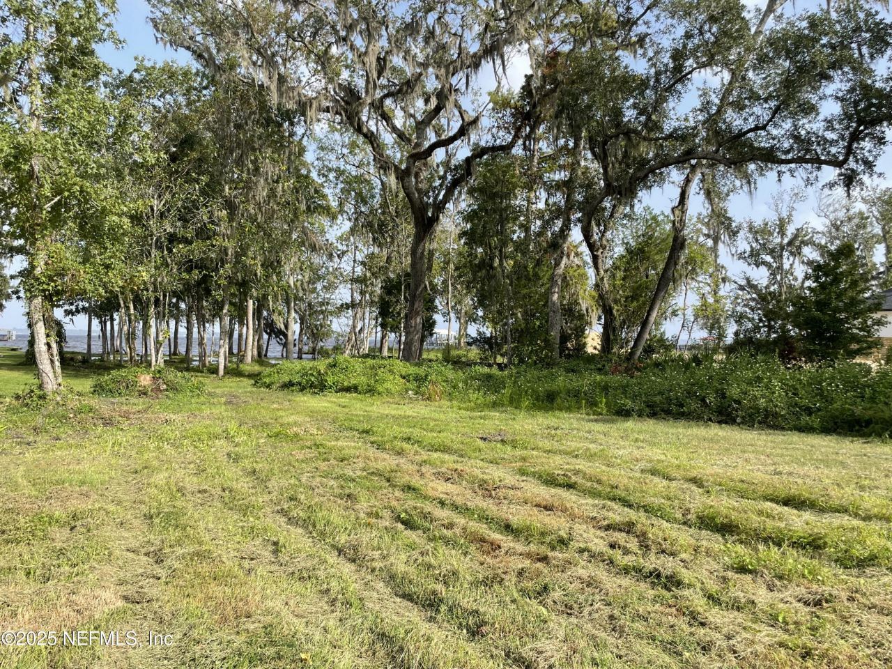 1570 River Rise Point, Fleming Island, FL 32003 Photo