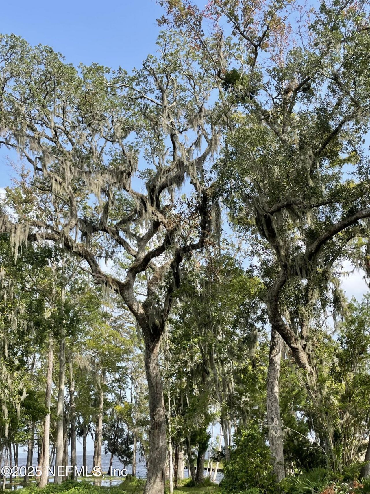 1570 River Rise Point, Fleming Island, FL 32003 Photo