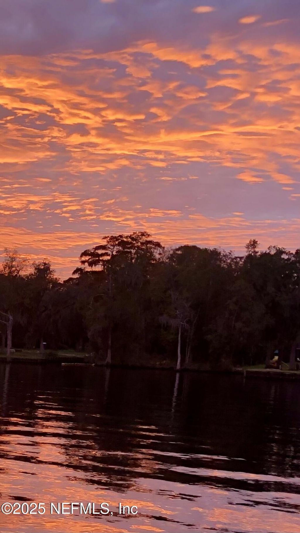 1570 River Rise Point, Fleming Island, FL 32003 Photo