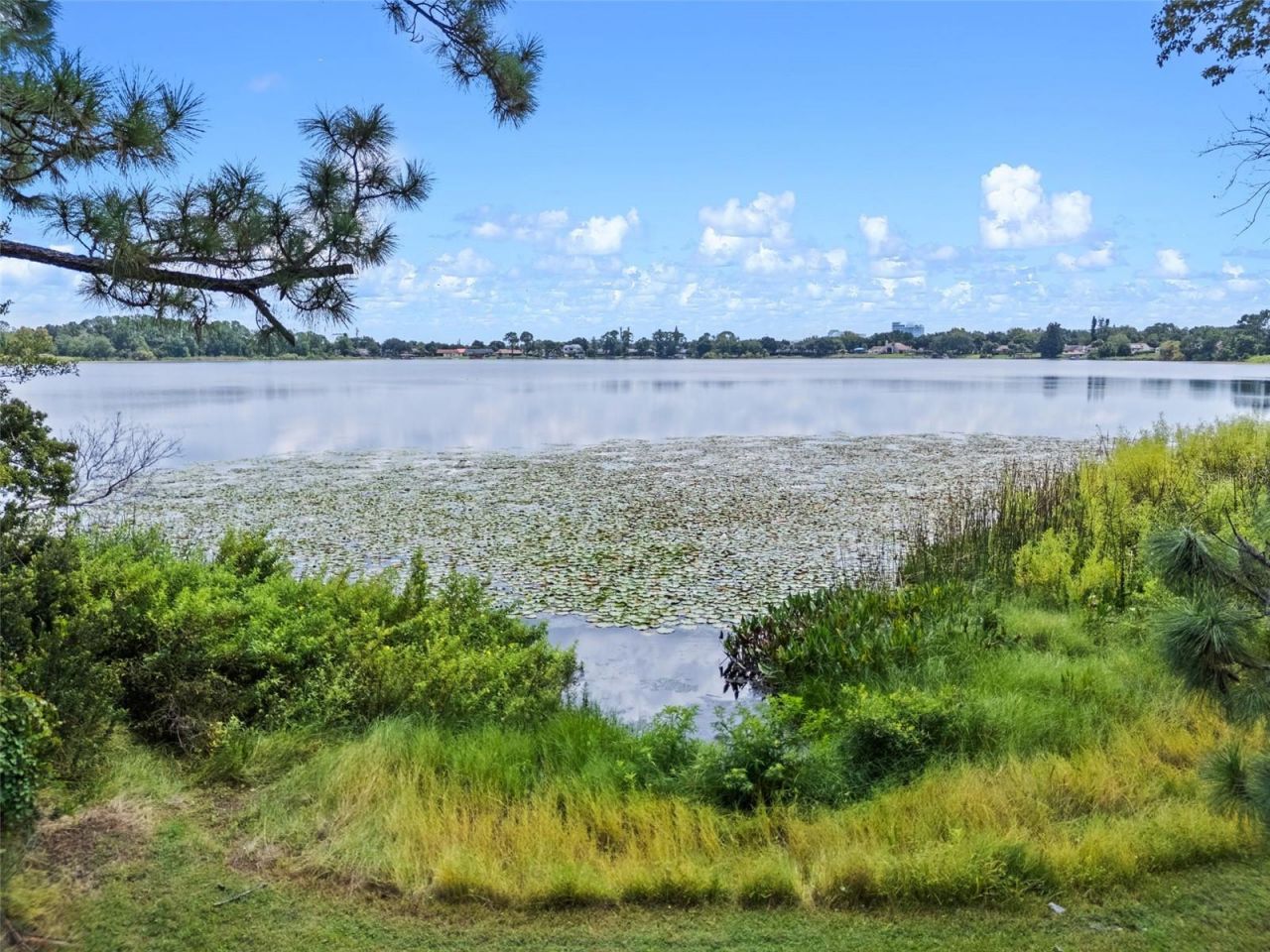 7470 Lake Marsha Drive, Orlando, FL 32819 Photo