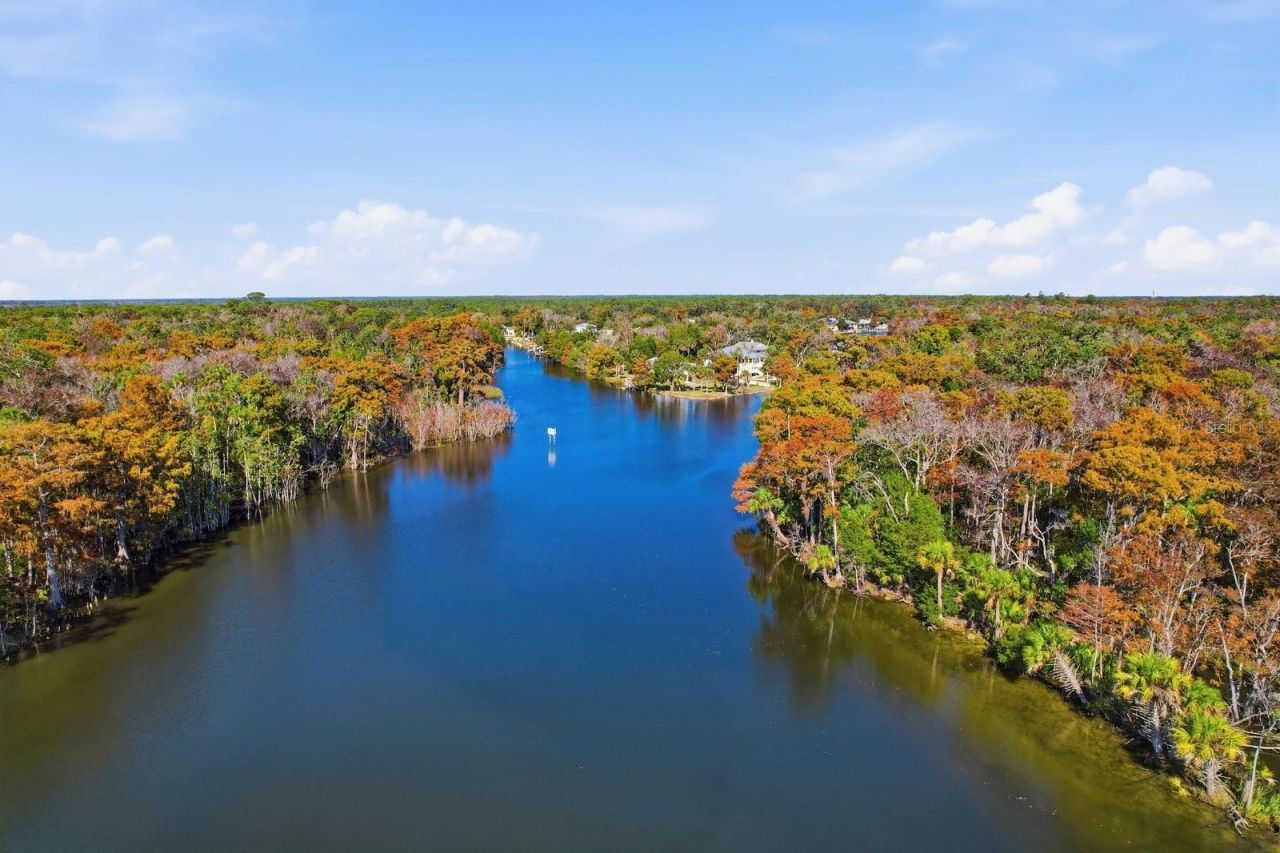 5 Palm Drive, Yankeetown, FL 34498 Photo