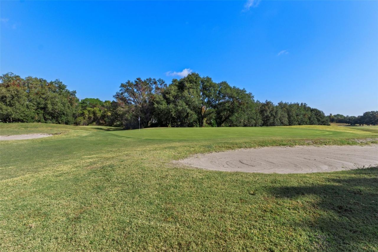 4460 Golf Club Lane, Spring Hill, FL 34609 Photo