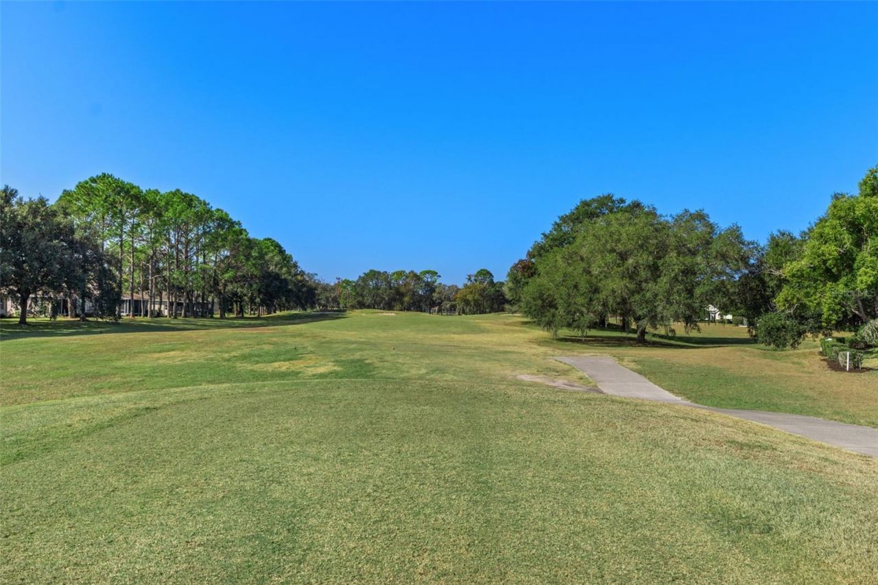 4460 Golf Club Lane, Spring Hill, FL 34609 Photo