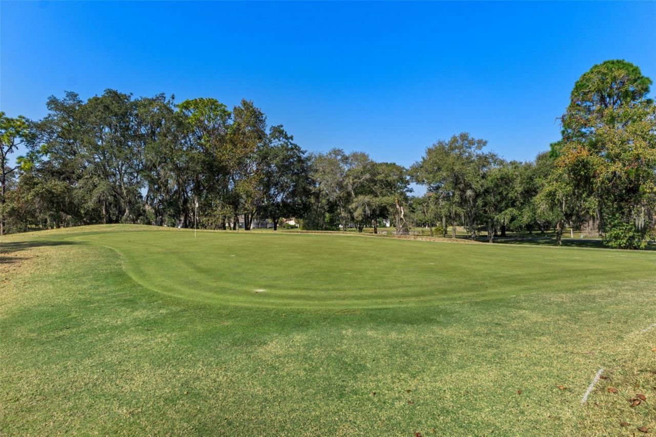 4460 Golf Club Lane, Spring Hill, FL 34609 Photo