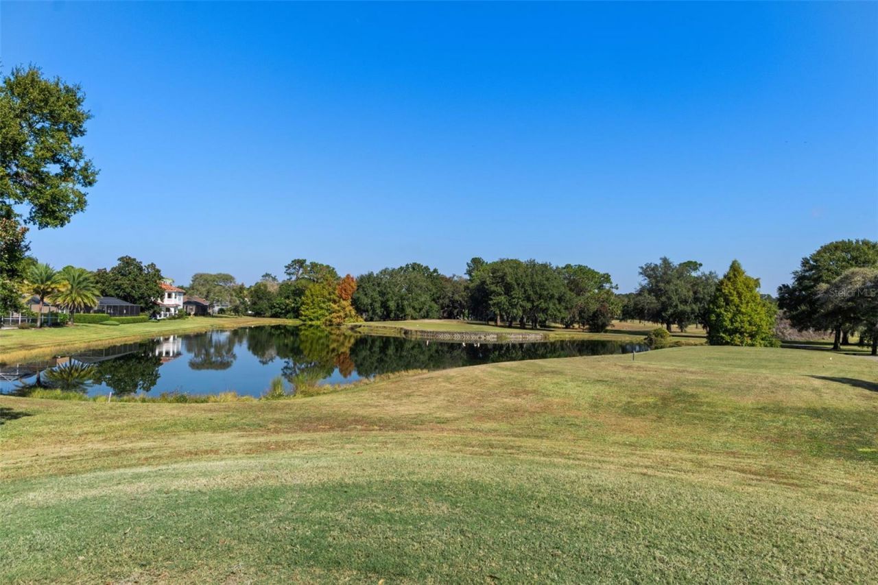 4460 Golf Club Lane, Spring Hill, FL 34609 Photo