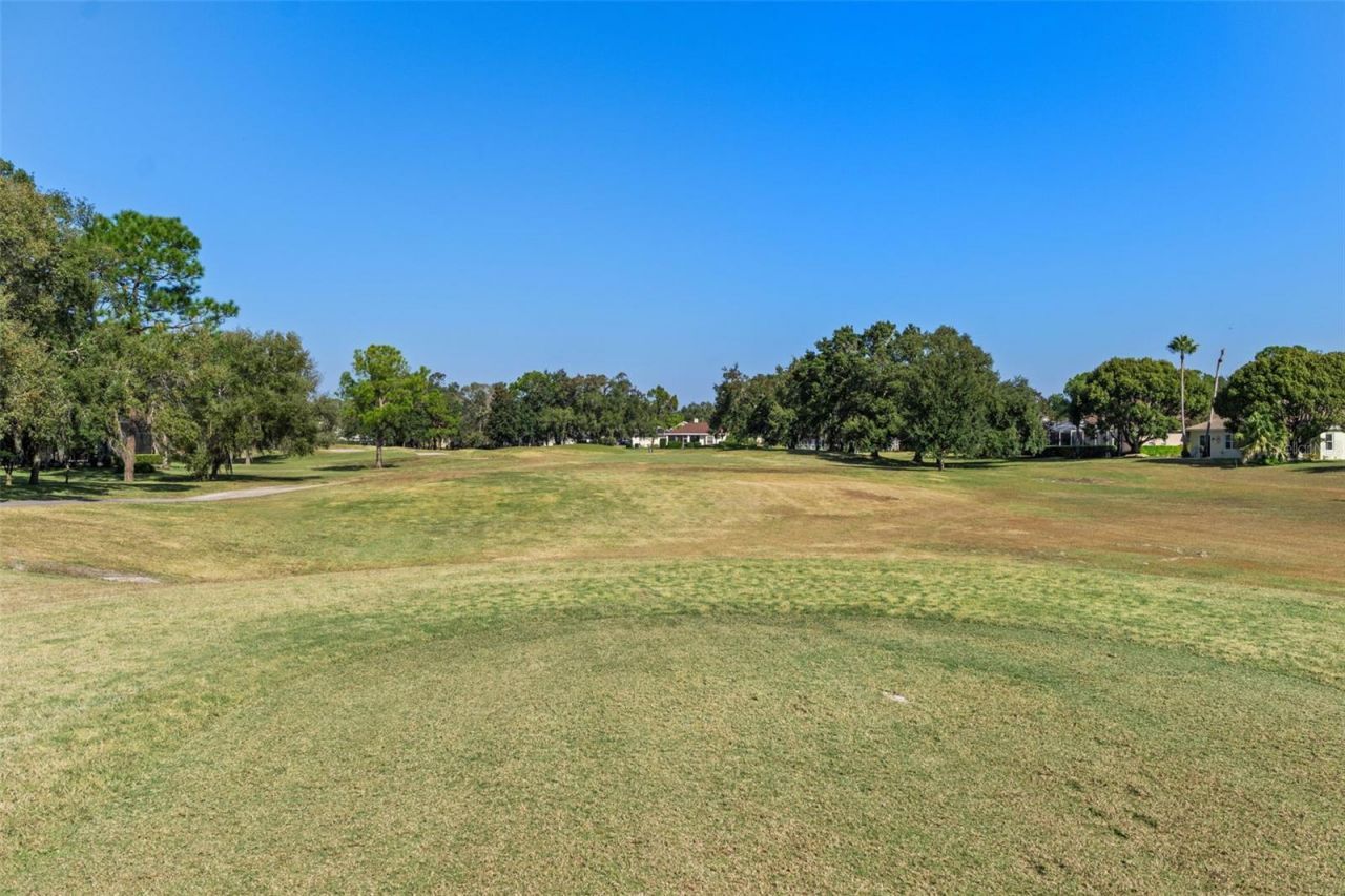 4460 Golf Club Lane, Spring Hill, FL 34609 Photo