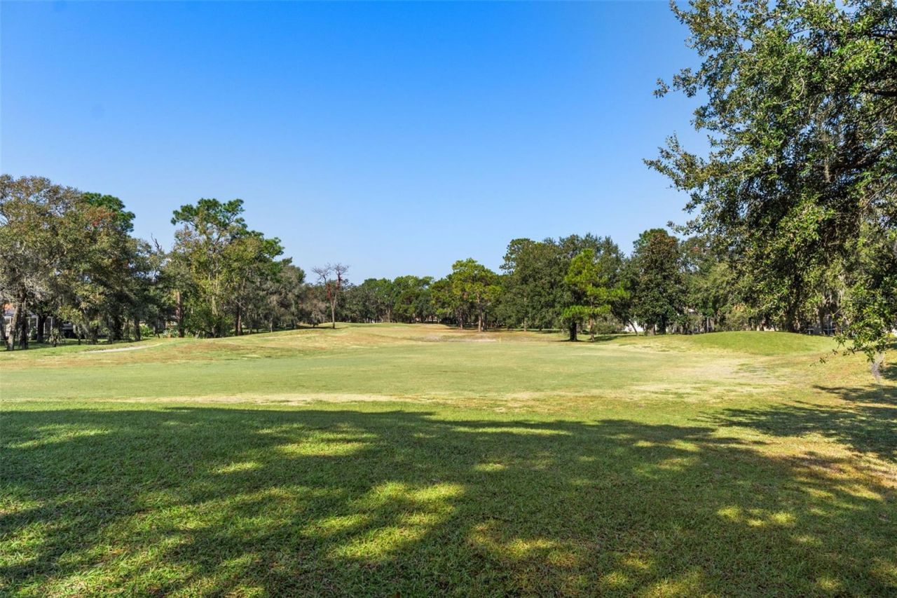 4460 Golf Club Lane, Spring Hill, FL 34609 Photo