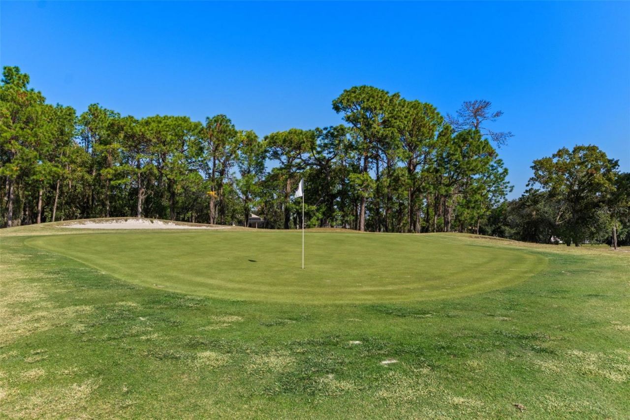 4460 Golf Club Lane, Spring Hill, FL 34609 Photo