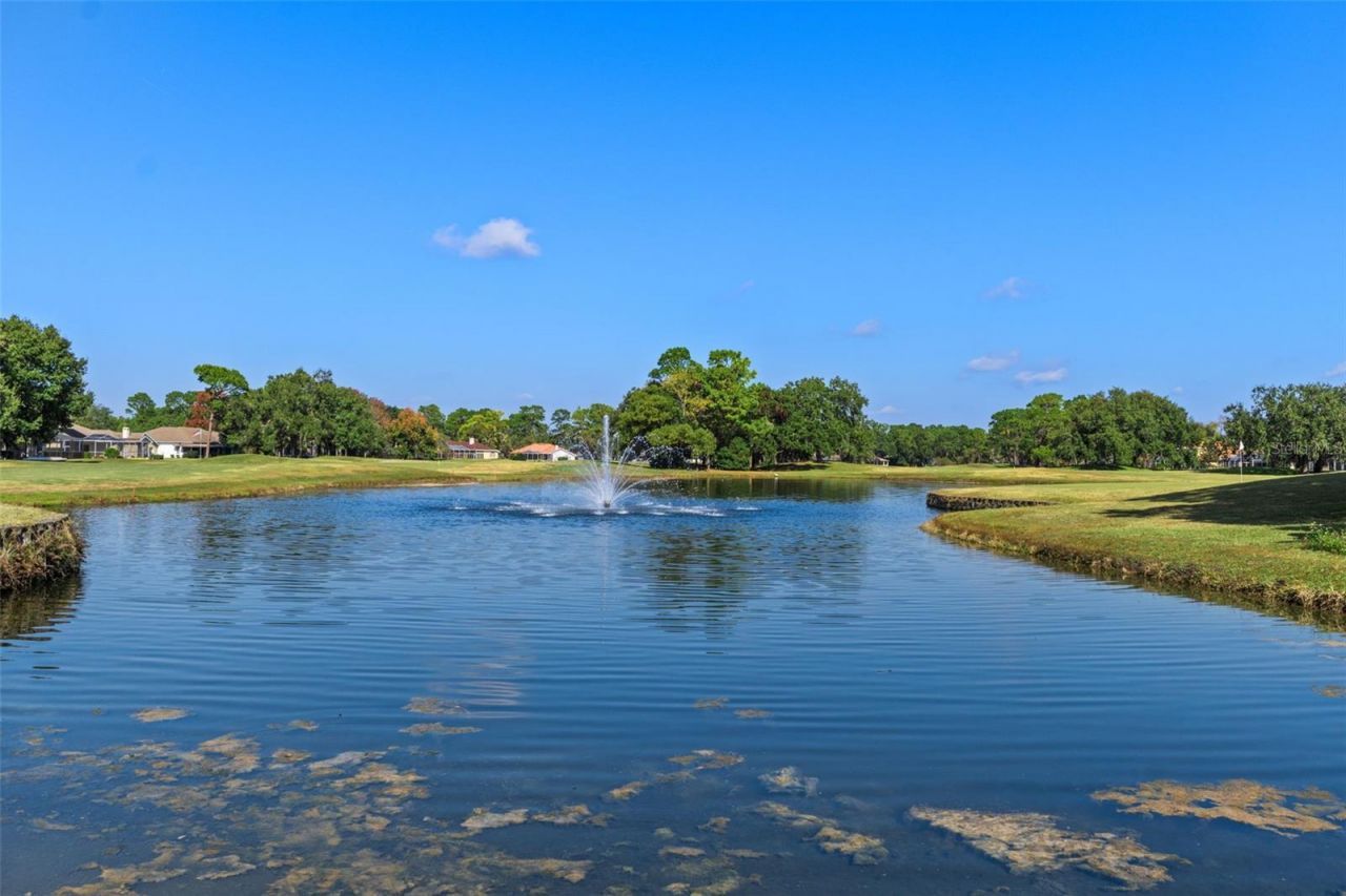 4460 Golf Club Lane, Spring Hill, FL 34609 Photo