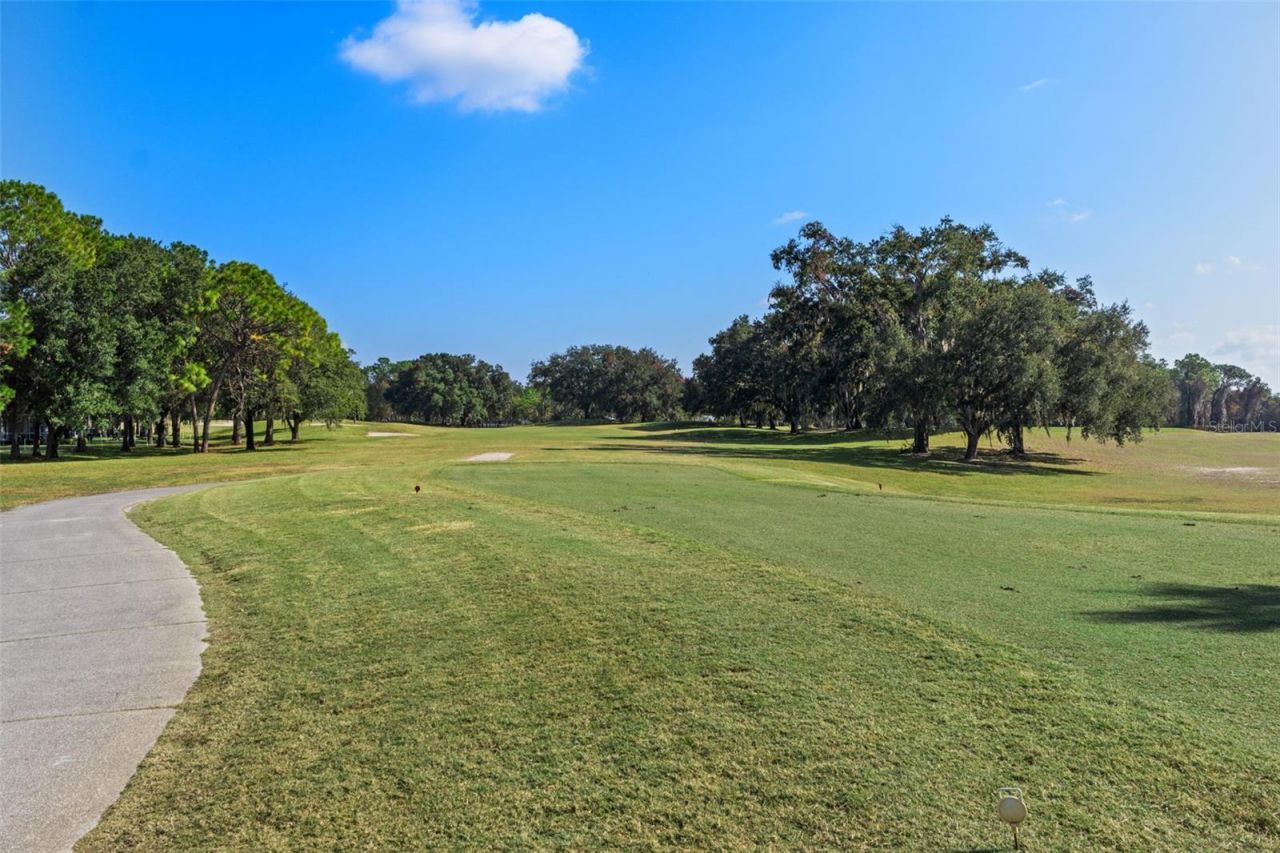 4460 Golf Club Lane, Spring Hill, FL 34609 Photo