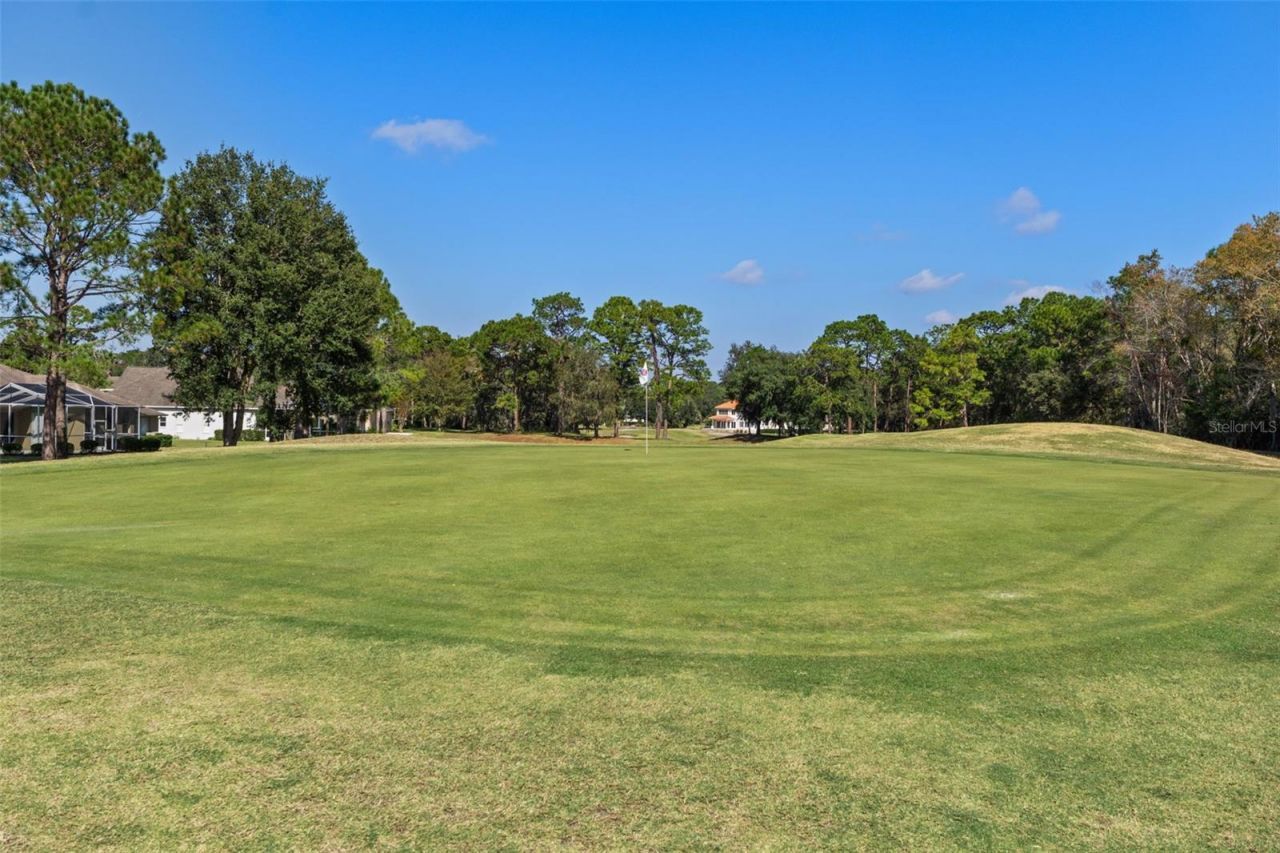 4460 Golf Club Lane, Spring Hill, FL 34609 Photo