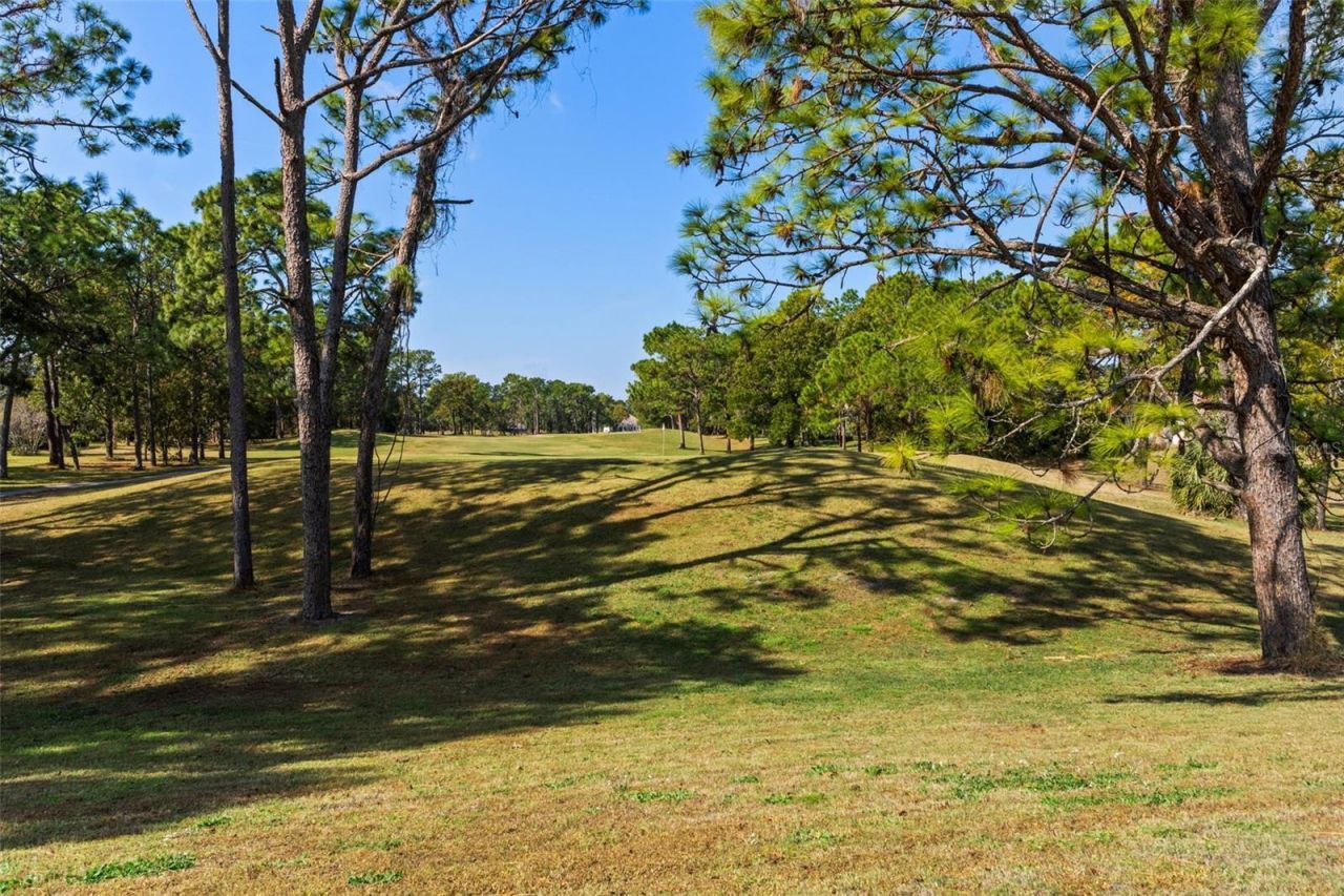 4460 Golf Club Lane, Spring Hill, FL 34609 Photo