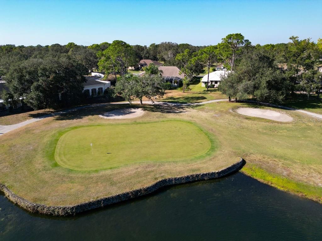 4460 Golf Club Lane, Spring Hill, FL 34609 Photo