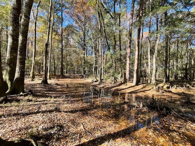 608 Bc Estates Lane Photo 13