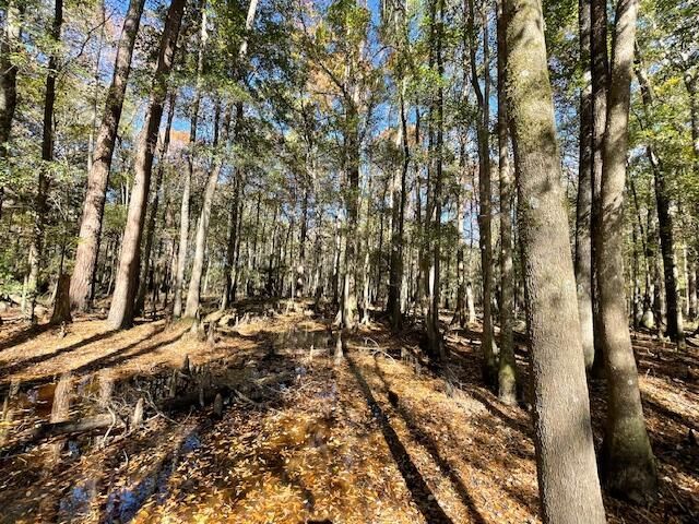 608 Bc Estates Lane Photo 14