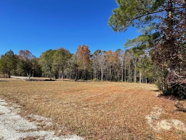 608 Bc Estates Lane Photo 5