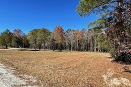 608 Bc Estates Lane photo 4