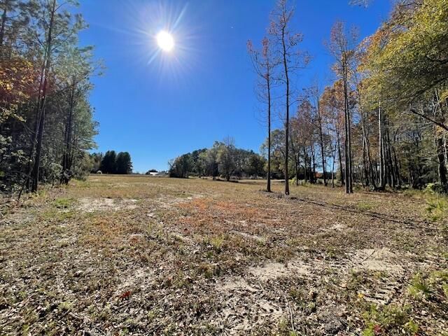 608 Bc Estates Lane Photo 6