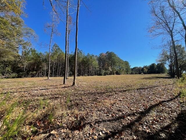 608 Bc Estates Lane Photo 7