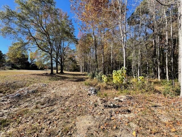 608 Bc Estates Lane Photo 8