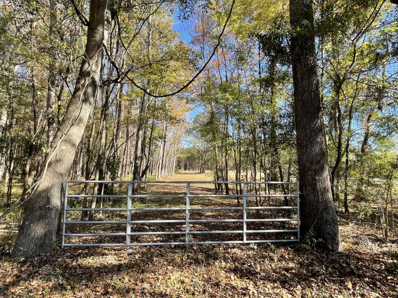 608 Bc Estates Lane Photo 9