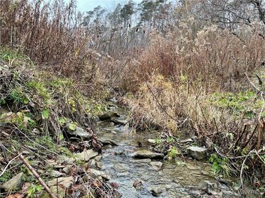 Feathers Creek Road, Belmont, NY 14813