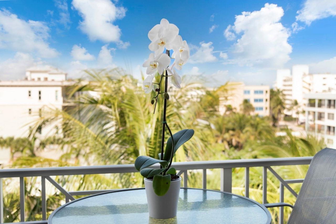 701 SE 21st Avenue, Unit 502, Deerfield Beach, FL 33441 Photo