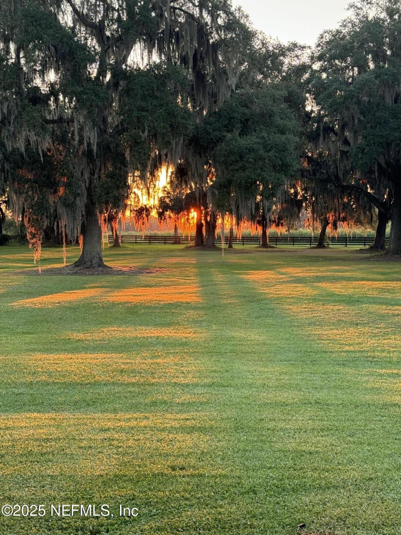 8995 Barrel Factory Road, Hastings, FL 32145 Photo