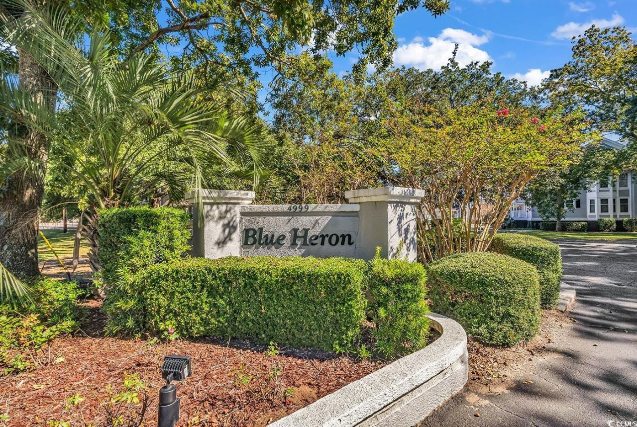 4999 Highway 17 Business Photo 26