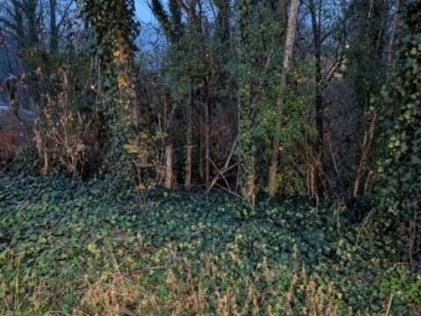 950 Cumberland St, Harriman, TN 37748