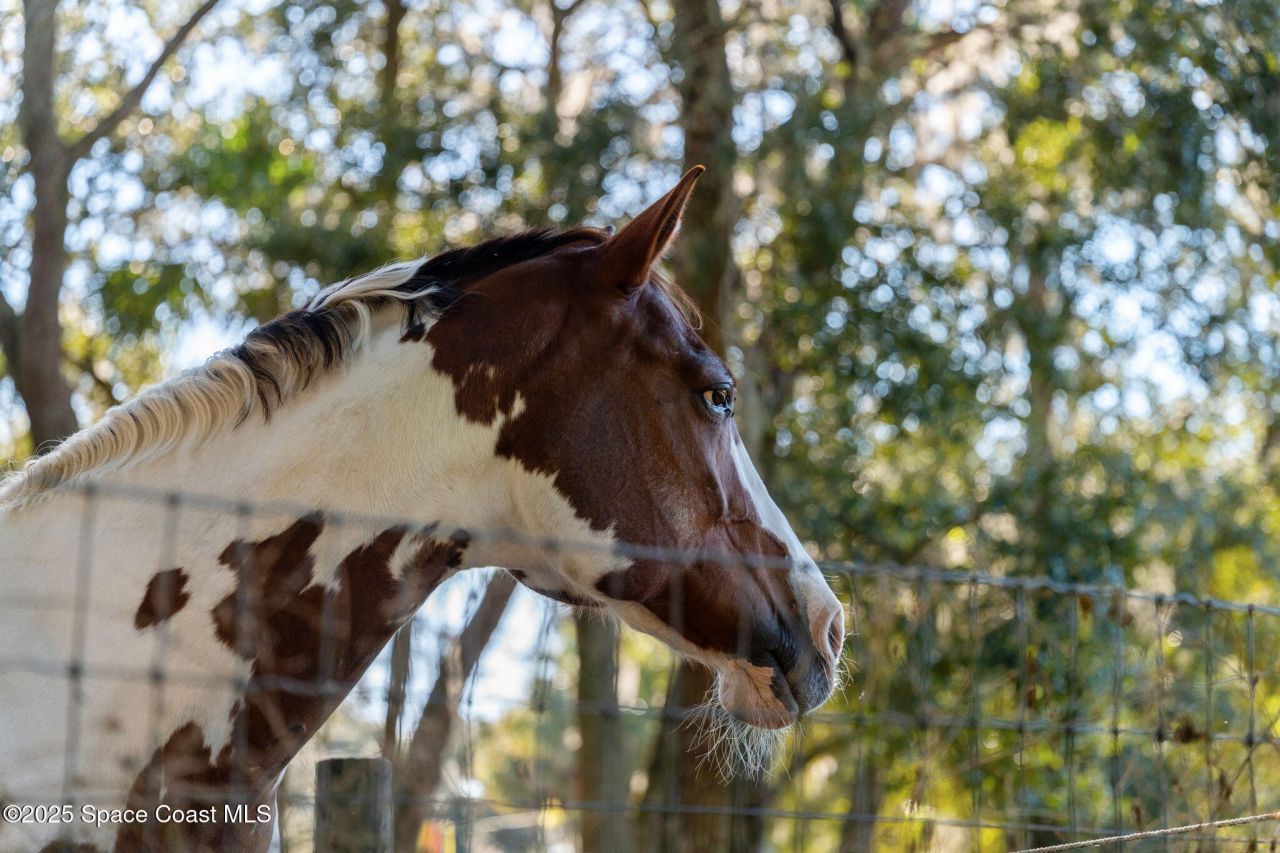 4630 James Road S, Cocoa, FL 32926 Photo