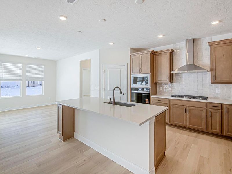 1848 Zucchina Drive, Unit Lot 207, Hilliard, OH 43026 Photo 2