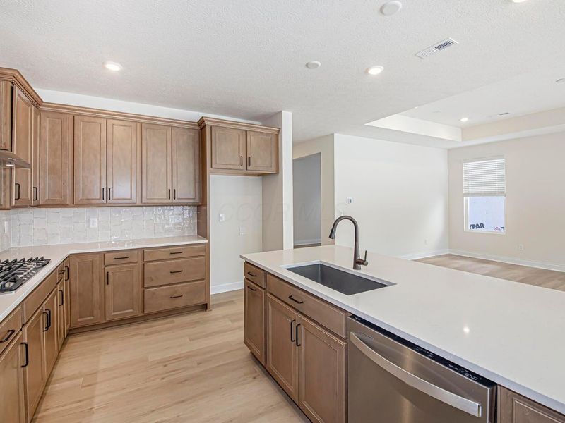 1848 Zucchina Drive, Unit Lot 207, Hilliard, OH 43026 Photo 5